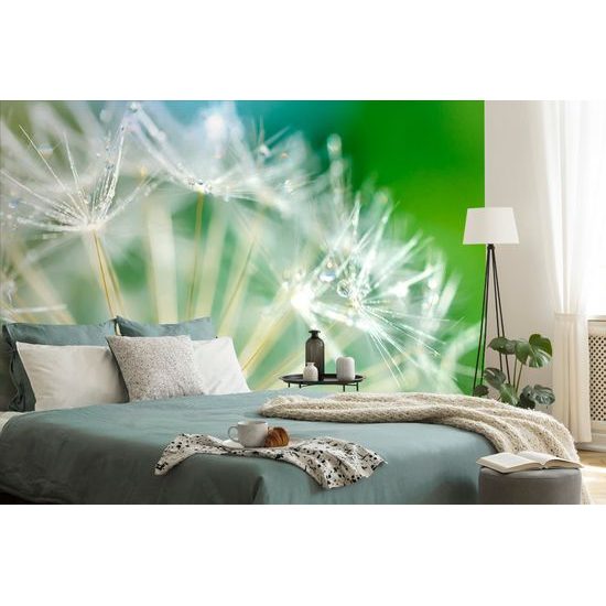 Jedinečná samolepiaca tapeta makro semienka púpavy