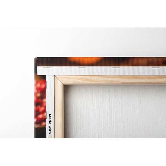 Obraz Indické koreniny