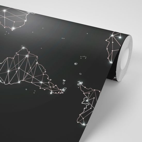 Samolepiaca tapeta mapa sveta tvorená sieťami