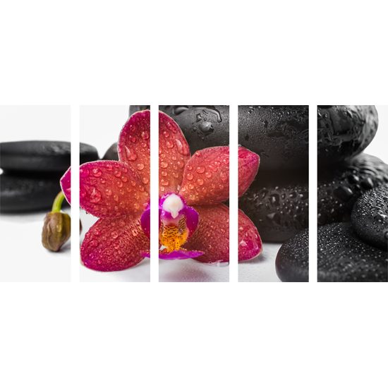 5-dielny obraz zen zátišie a orchidea
