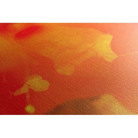 Obraz list lipy s ohnivým pozadím