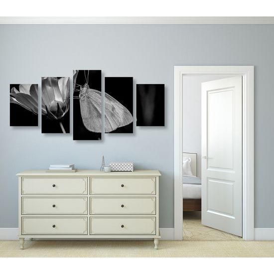 5-dielny obraz nočný motýľ v čiernobielom prevedení