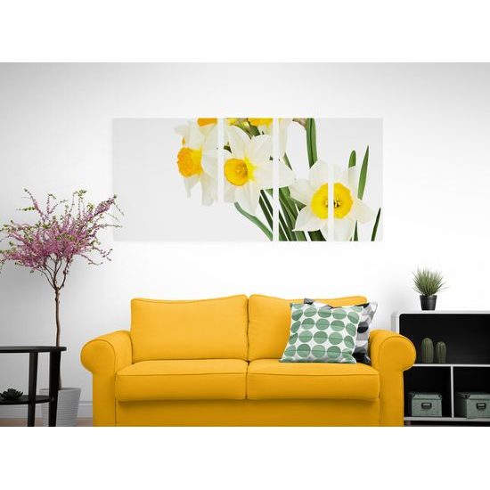 5-dielny obraz jemné jarné narcisy