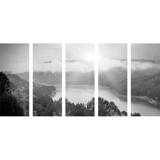 5-dielny obraz nádherný pohľad na letnú prírodu v čiernobielom prevedení