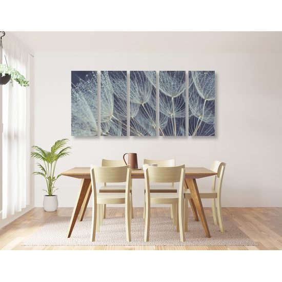 5-dielny obraz nádherný detail púpavy