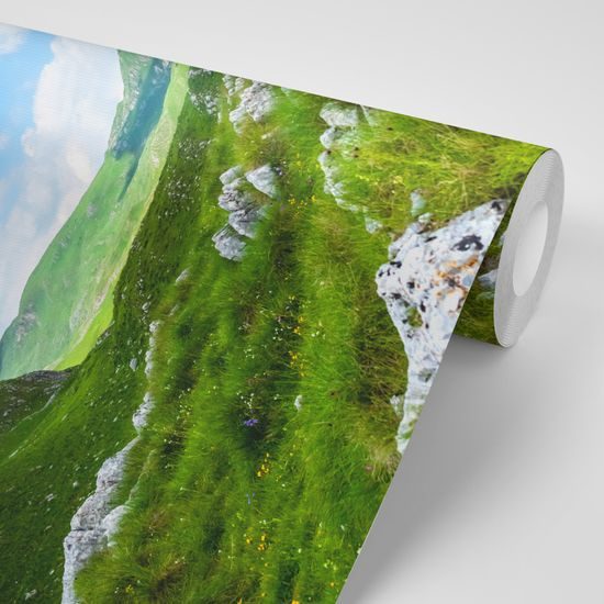 Fototapeta divoká príroda Čiernej Hory