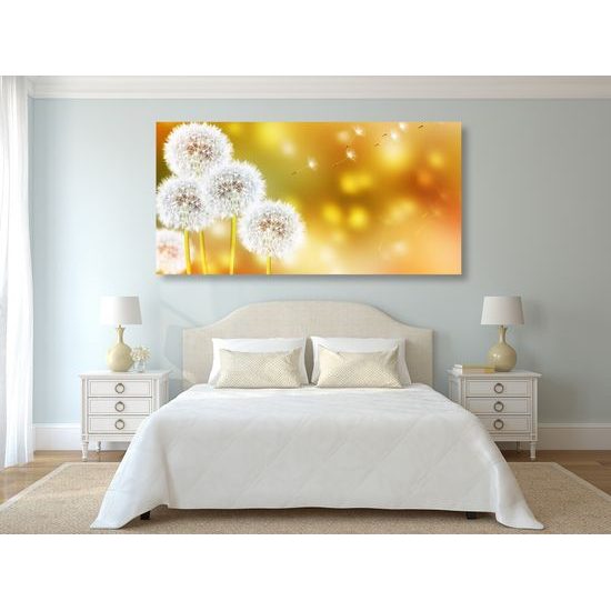 Obraz nadýchané klobúčiky púpavy