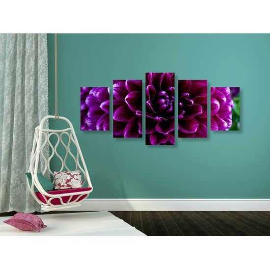 5-dielny obraz ohromný purpurový kvet