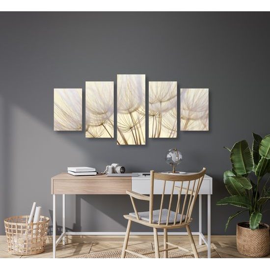 5-dielny obraz presný detail púpavy