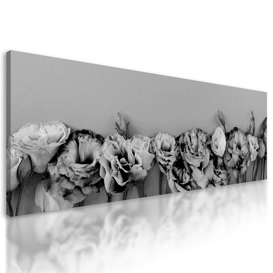 Obraz kvitnúce kvety v čiernobielom prevedení