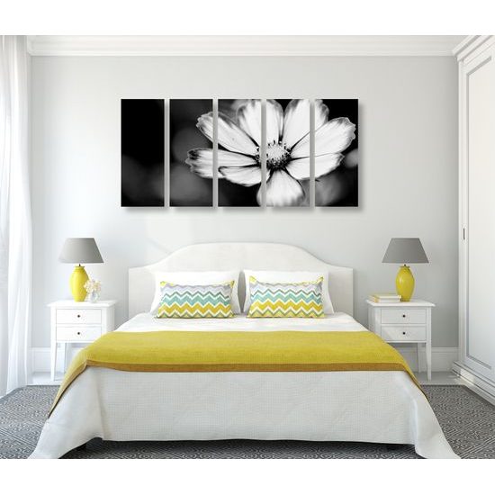 5-dielny obraz jedinečný kvet krasuľky v čiernobielom prevedení