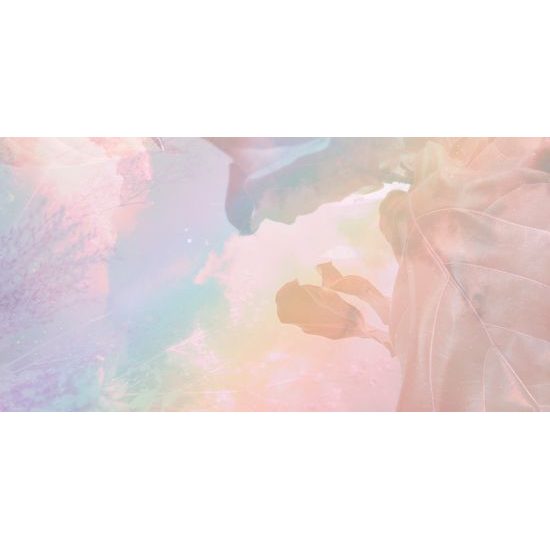 Obraz pastelové listy na hladine