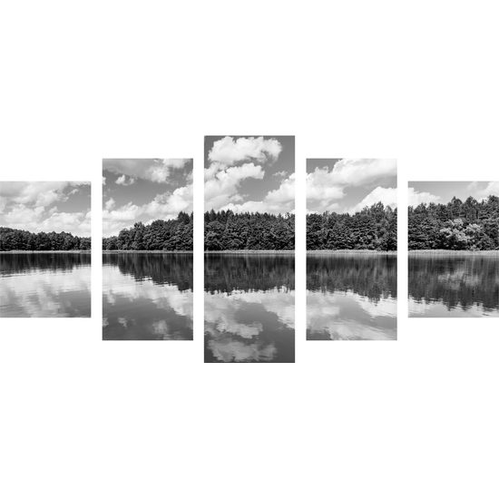 5-dielny obraz krásy prírody v čiernobielom prevedení