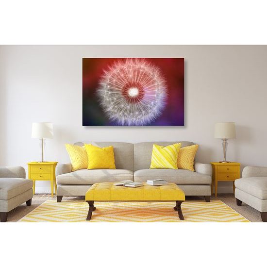 Obraz púpava v nádherných farbách