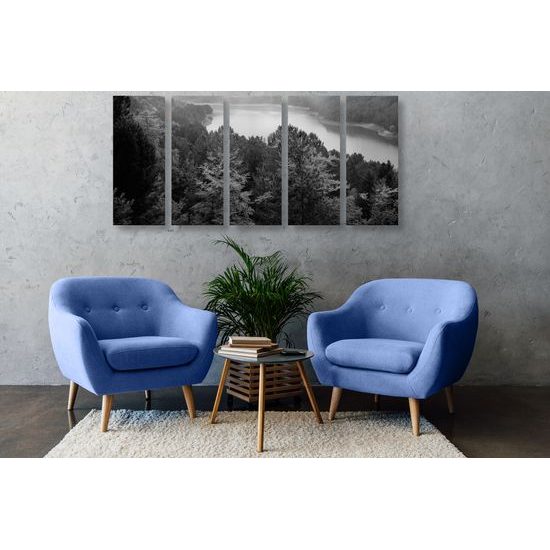 5-dielny obraz prekrásny pohľad na letnú prírodu v čiernobielom prevedení