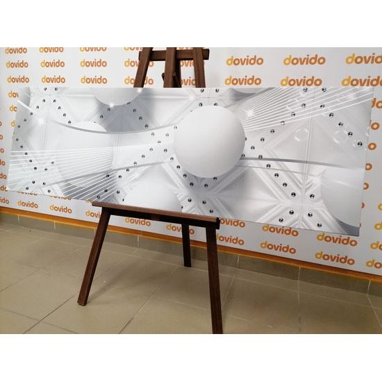 Obraz jemný luxus v čiernobielom prevedení