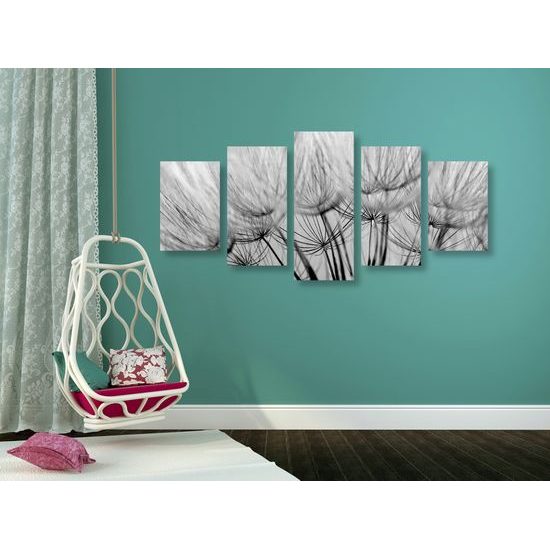 5-dielny obraz presný detail púpavy v čiernobielom prevedení