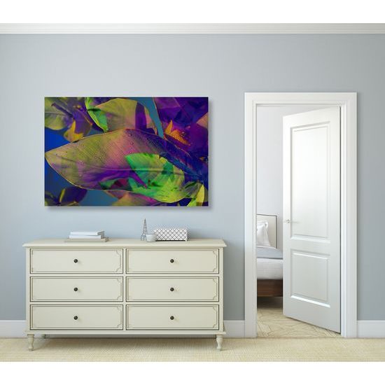 Obraz zvláštne listy plné farieb