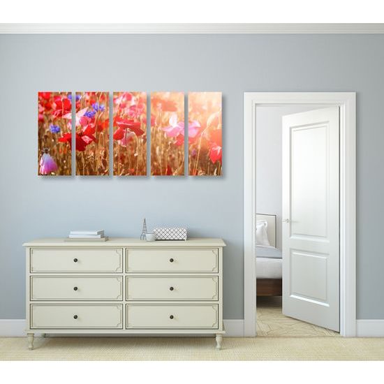 5-dielny obraz lúčne maky na slnečnej lúke