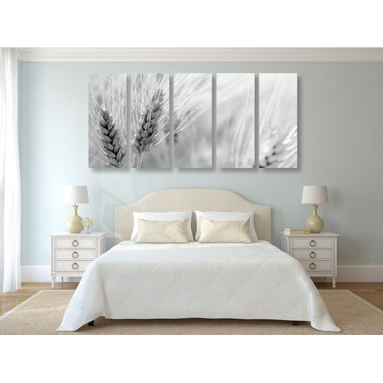 5-dielny obraz detail pšenice v čiernobielom prevedení