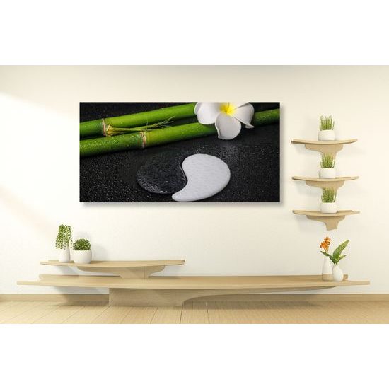 Obraz bambusové zátišie so symbolom Jin a Jang