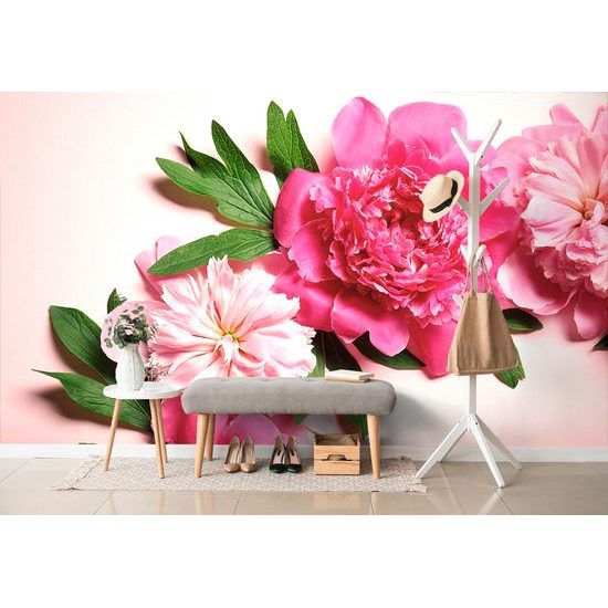 Samolepiaca fototapeta ružové kvety pivónie