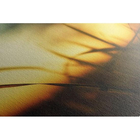 Obraz letný západ slnka