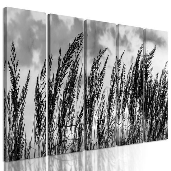 5-dielny obraz poľná tráva s nebeským pozadím v čiernobielom prevedení