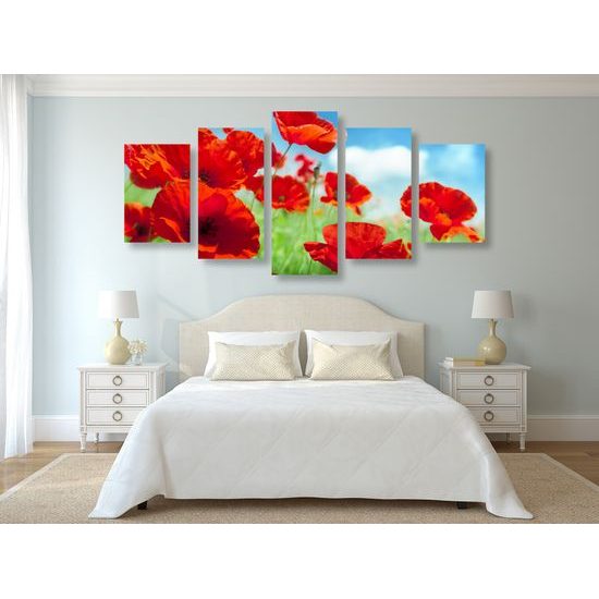 5-dielny obraz lúčne maky