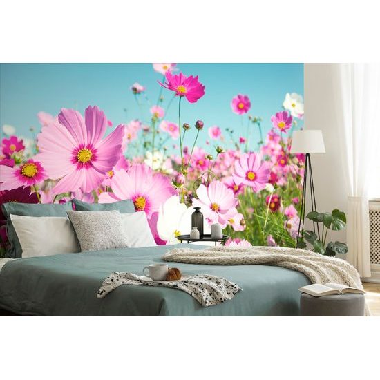 Samolepiaca fototapeta ružové lúčne kvety