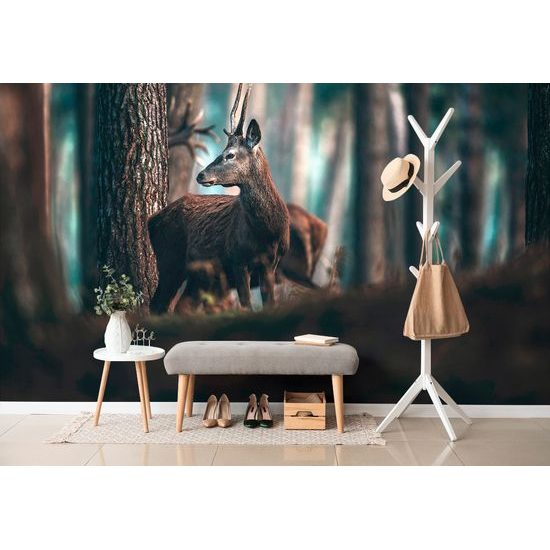Samolepiaca fototapeta mladý jeleň uprostred stromov