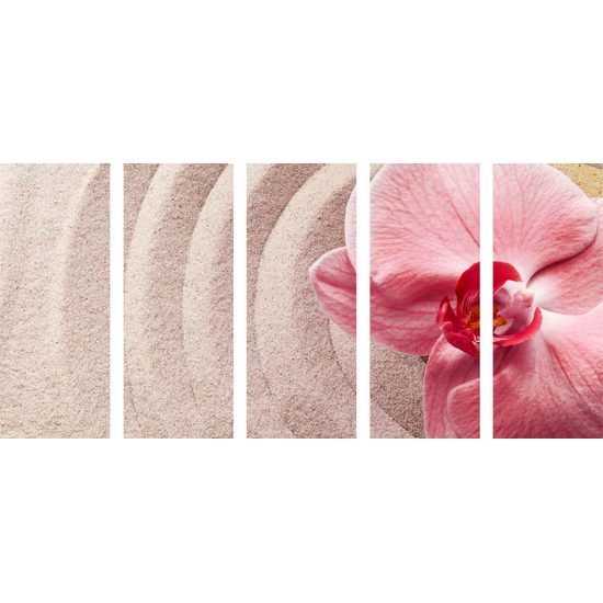 5-dielny obraz ružová orchidea v Zen zátiší