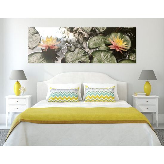 Obraz lekná v záhradnom jazierku