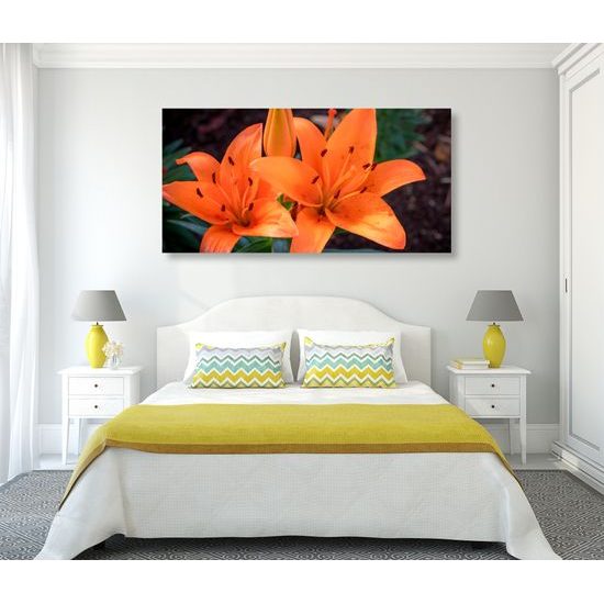 Obraz oranžová dália