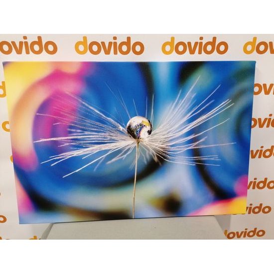 Obraz kvapka s nádherným pozadím