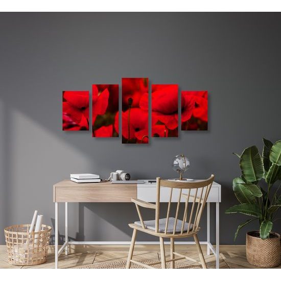 5-dielny obraz jedinečné divé maky