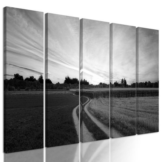 5-dielny obraz zapadajúce slnko nad krajinou v čiernobielom prevedení
