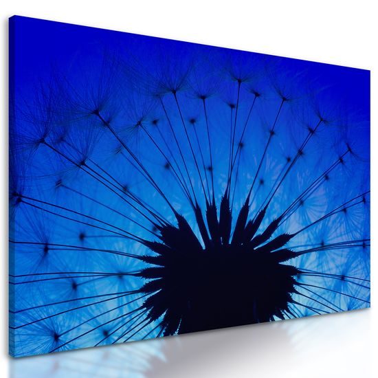 Obraz abstraktná nočná púpava