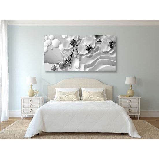 Obraz jemné znázornenie orchidei v čiernobielom prevedení