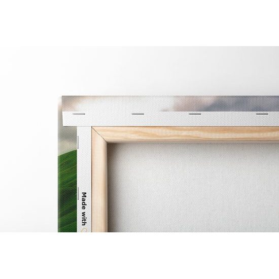 Obraz zeleňou posiate hory