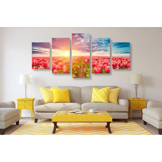 5-dielny obraz západ slnka nad rozkvinutými tulipánmi