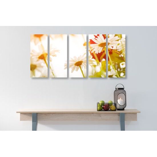 5-dielny obraz kvety na slnečnej lúke