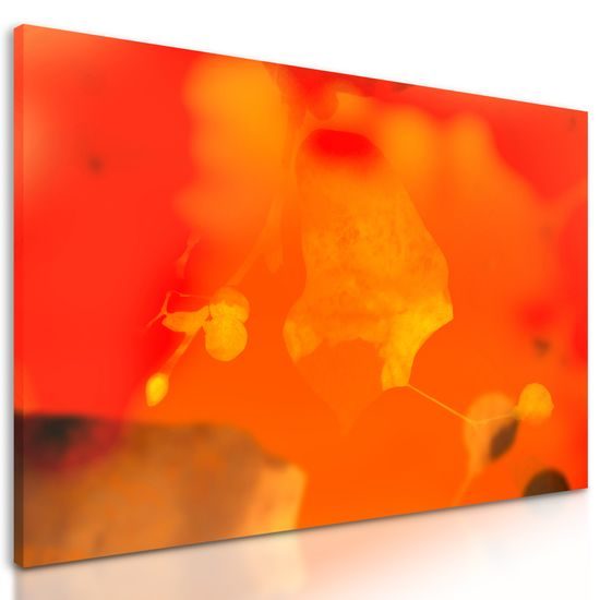 Obraz list lipy s ohnivým pozadím