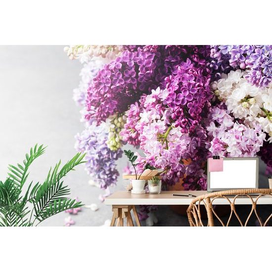 Nádherná samolepiaca fototapeta kvety orgovánu