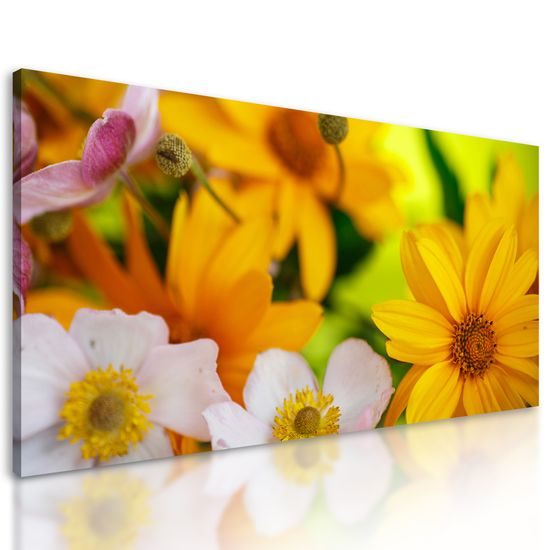 Obraz kvety v letných farbách