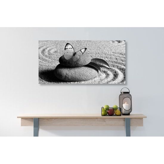 Obraz čiernobiely motýľ vo wellness zátiší