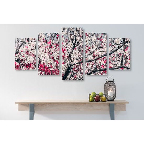 5-dielny obraz nádherne kvety v červenobielom prevedení