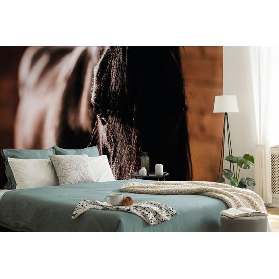 Originálna samolepiaca fototapeta vznešený kôň