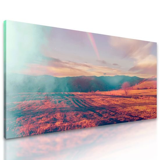 Obraz pohľad na jesennú lúku