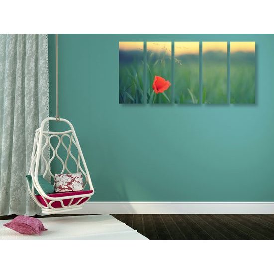 5-dielny obraz osamelý vlčí mak na lúke